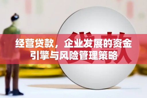 剑川经营贷款，企业发展的资金引擎与风险管理策略