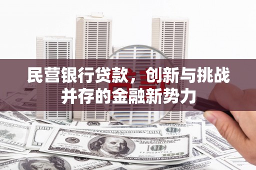 剑川民营银行贷款，创新与挑战并存的金融新势力