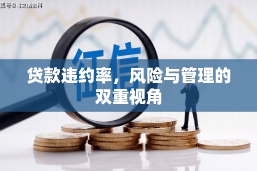 剑川贷款违约率，风险与管理的双重视角