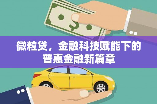 剑川微粒贷，金融科技赋能下的普惠金融新篇章