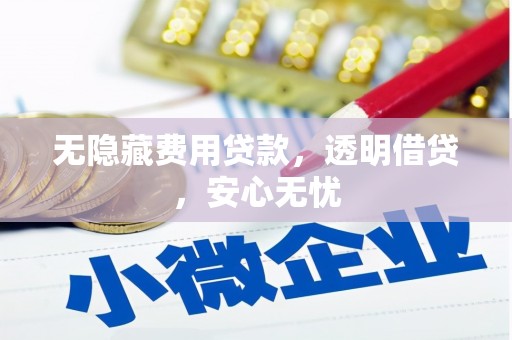 剑川无隐藏费用贷款，透明借贷，安心无忧