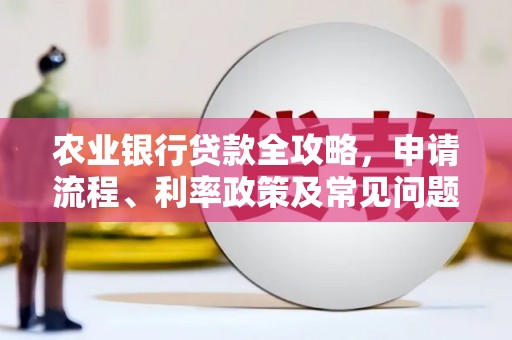 剑川农业银行贷款全攻略，申请流程、利率政策及常见问题解析