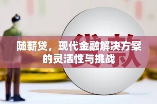 剑川随薪贷，现代金融解决方案的灵活性与挑战