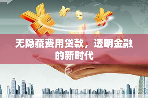 剑川无隐藏费用贷款，透明金融的新时代