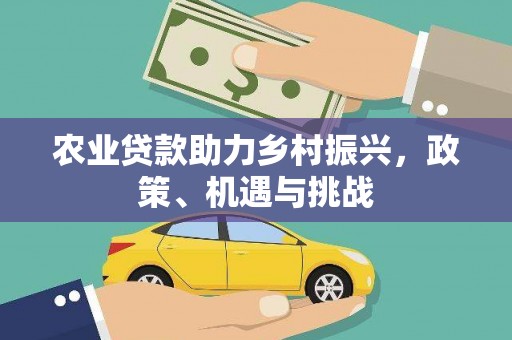 剑川农业贷款助力乡村振兴，政策、机遇与挑战