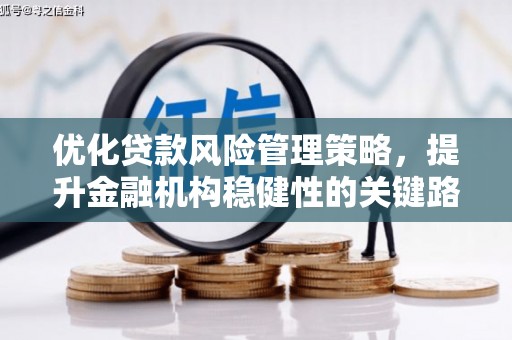 剑川优化贷款风险管理策略，提升金融机构稳健性的关键路径