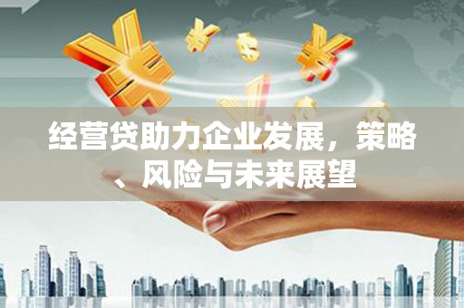 剑川经营贷助力企业发展，策略、风险与未来展望