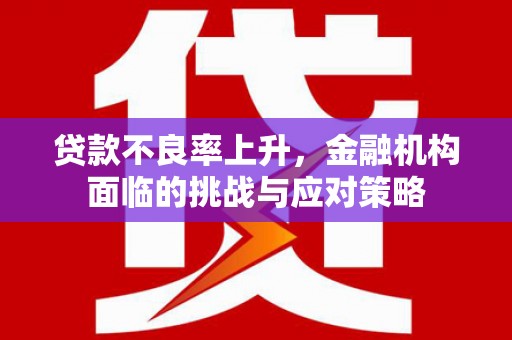 剑川贷款不良率上升，金融机构面临的挑战与应对策略