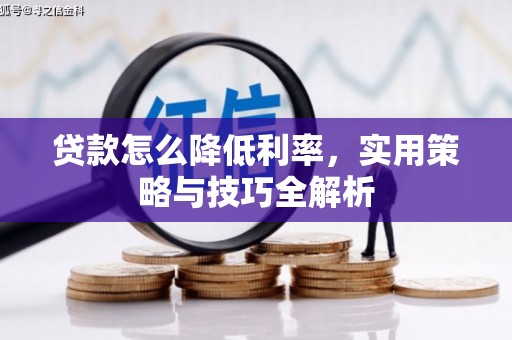 剑川贷款怎么降低利率，实用策略与技巧全解析