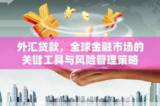 剑川外汇贷款，全球金融市场的关键工具与风险管理策略