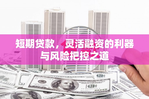 剑川短期贷款，灵活融资的利器与风险把控之道