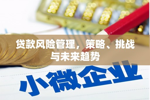 剑川贷款风险管理，策略、挑战与未来趋势