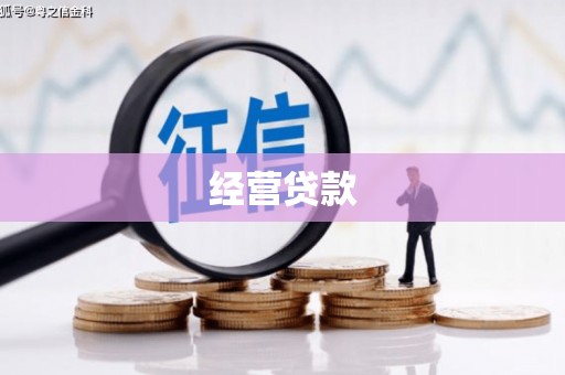 剑川经营贷款