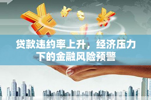 剑川贷款违约率上升，经济压力下的金融风险预警