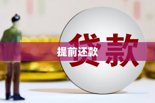 剑川提前还款