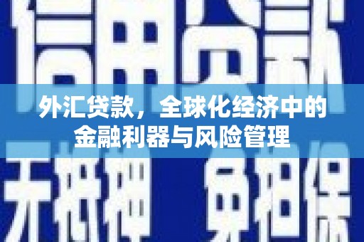 剑川外汇贷款，全球化经济中的金融利器与风险管理