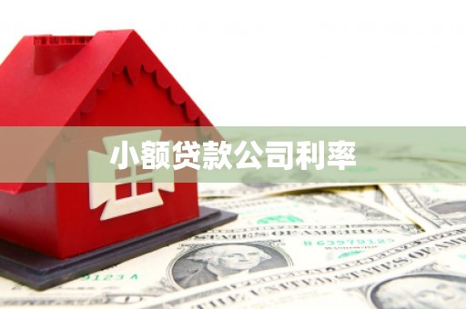 剑川小额贷款公司利率