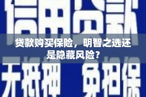 剑川贷款购买保险，明智之选还是隐藏风险？