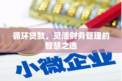剑川循环贷款，灵活财务管理的智慧之选