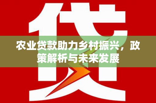 剑川农业贷款助力乡村振兴，政策解析与未来发展