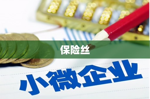 剑川保险丝