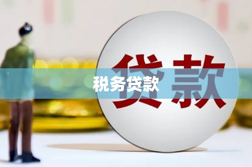 剑川税务贷款