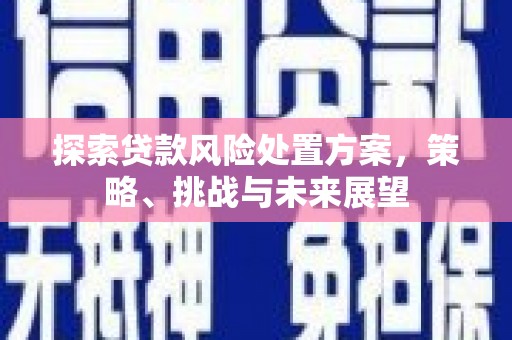 剑川探索贷款风险处置方案，策略、挑战与未来展望