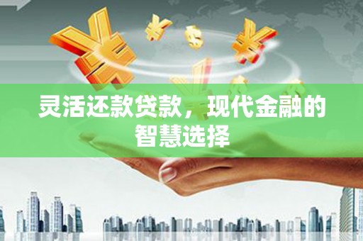 剑川灵活还款贷款，现代金融的智慧选择