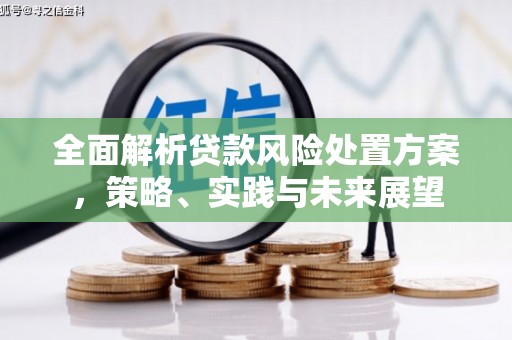 剑川全面解析贷款风险处置方案，策略、实践与未来展望