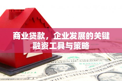 剑川商业贷款，企业发展的关键融资工具与策略