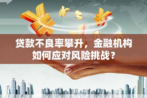 剑川贷款不良率攀升，金融机构如何应对风险挑战？