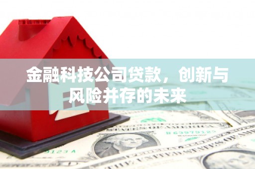 剑川金融科技公司贷款，创新与风险并存的未来