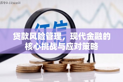 剑川贷款风险管理，现代金融的核心挑战与应对策略