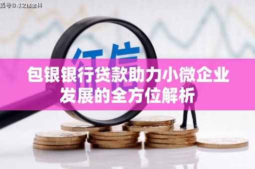 剑川包银银行贷款助力小微企业发展的全方位解析