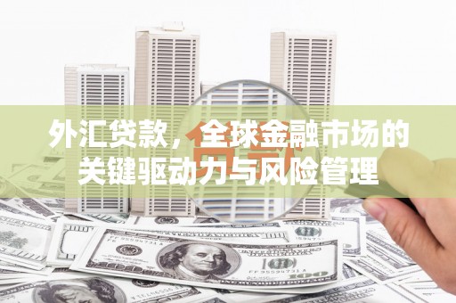 剑川外汇贷款，全球金融市场的关键驱动力与风险管理