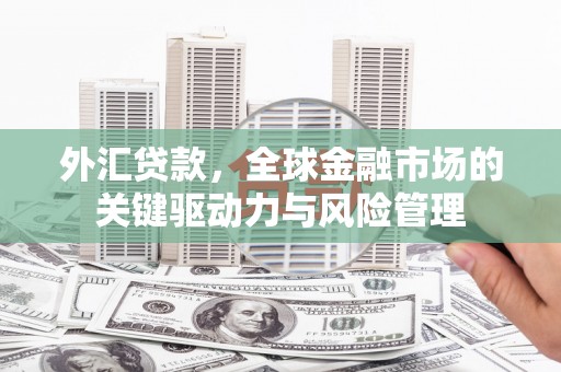 剑川外汇贷款，全球金融市场的关键驱动力与风险管理