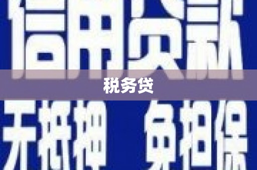 剑川税务贷