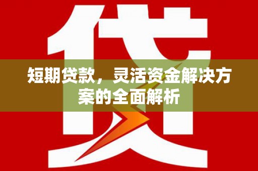 剑川短期贷款，灵活资金解决方案的全面解析