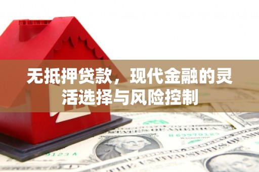 剑川无抵押贷款，现代金融的灵活选择与风险控制