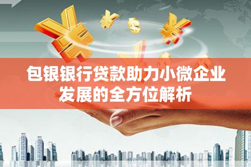 剑川包银银行贷款助力小微企业发展的全方位解析
