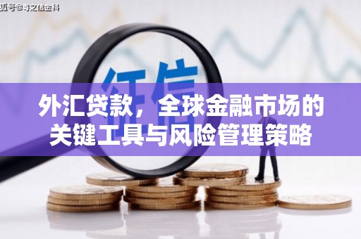 剑川外汇贷款，全球金融市场的关键工具与风险管理策略