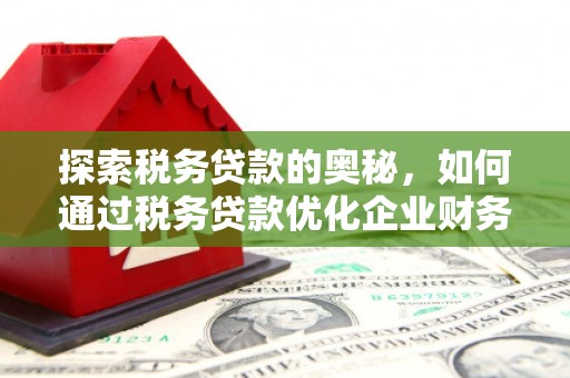 剑川探索税务贷款的奥秘，如何通过税务贷款优化企业财务