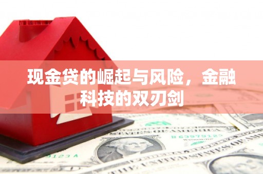 剑川现金贷的崛起与风险，金融科技的双刃剑