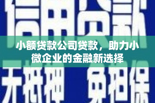 剑川小额贷款公司贷款，助力小微企业的金融新选择