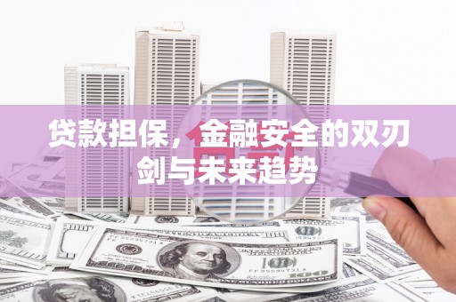 剑川贷款担保，金融安全的双刃剑与未来趋势