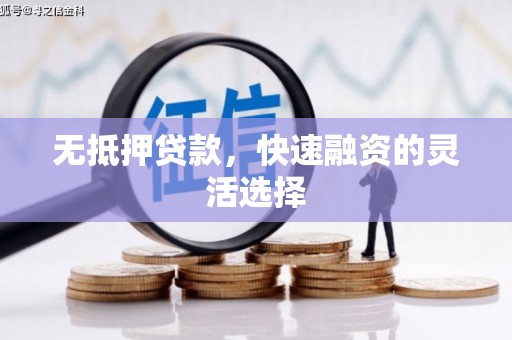 剑川无抵押贷款，快速融资的灵活选择