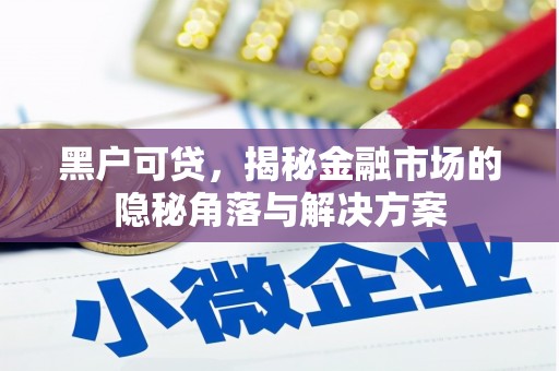 剑川黑户可贷，揭秘金融市场的隐秘角落与解决方案