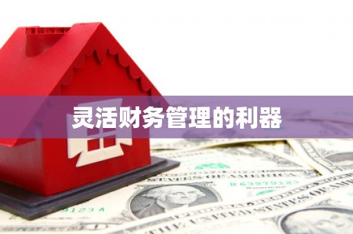 剑川灵活财务管理的利器
