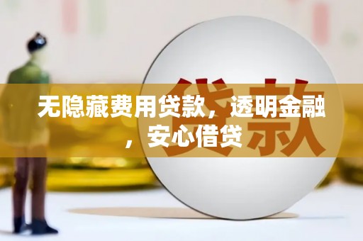 剑川无隐藏费用贷款，透明金融，安心借贷
