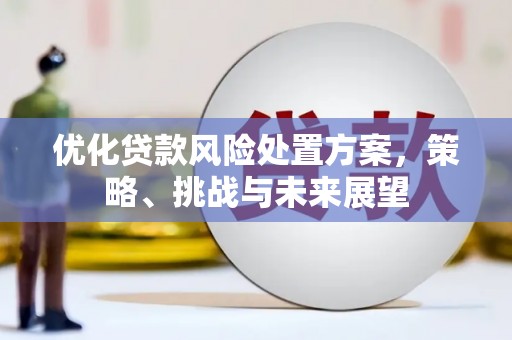 剑川优化贷款风险处置方案，策略、挑战与未来展望